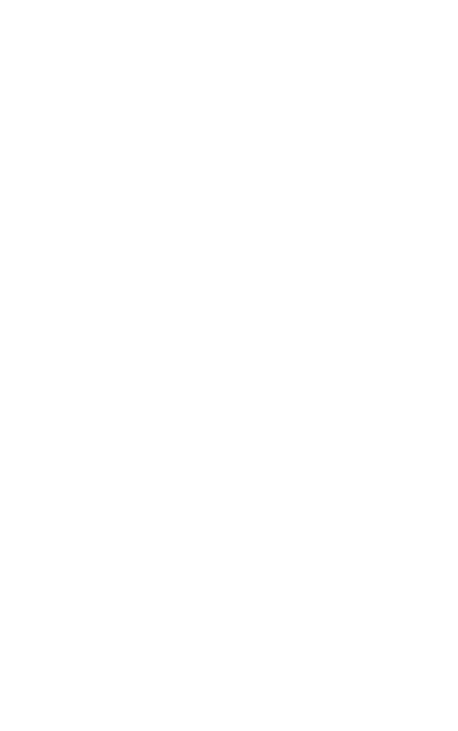 Worlds Okayest Overlord