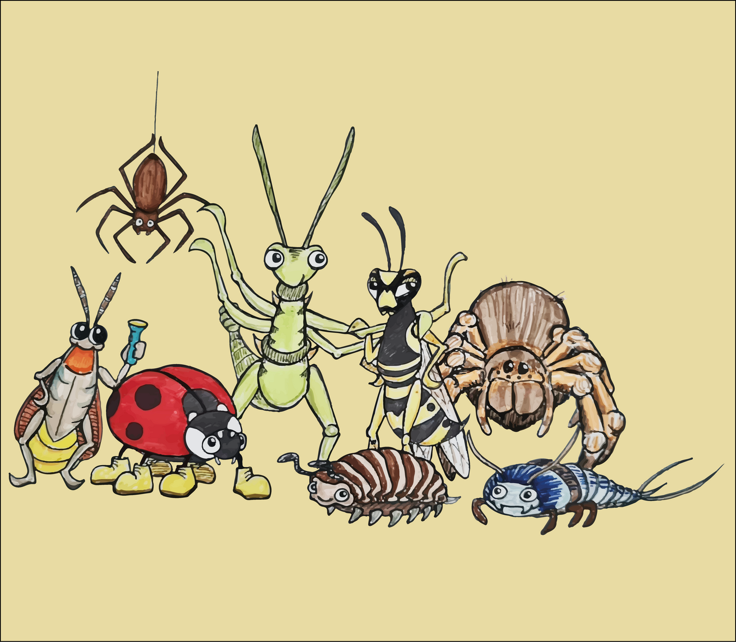 Krabbelcrew Komplett