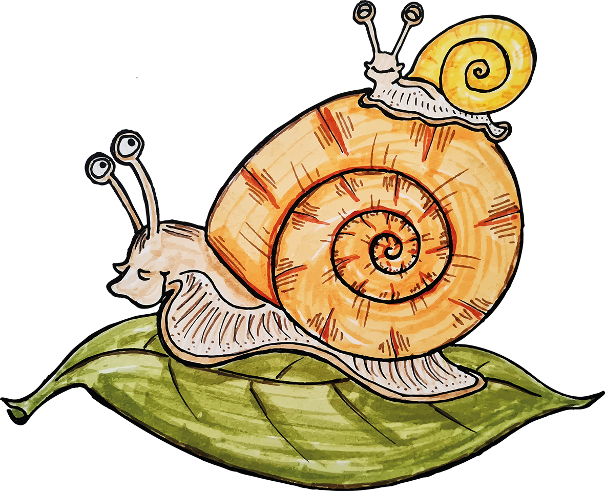 Schnecke on Tour